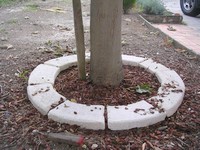 stones around tree